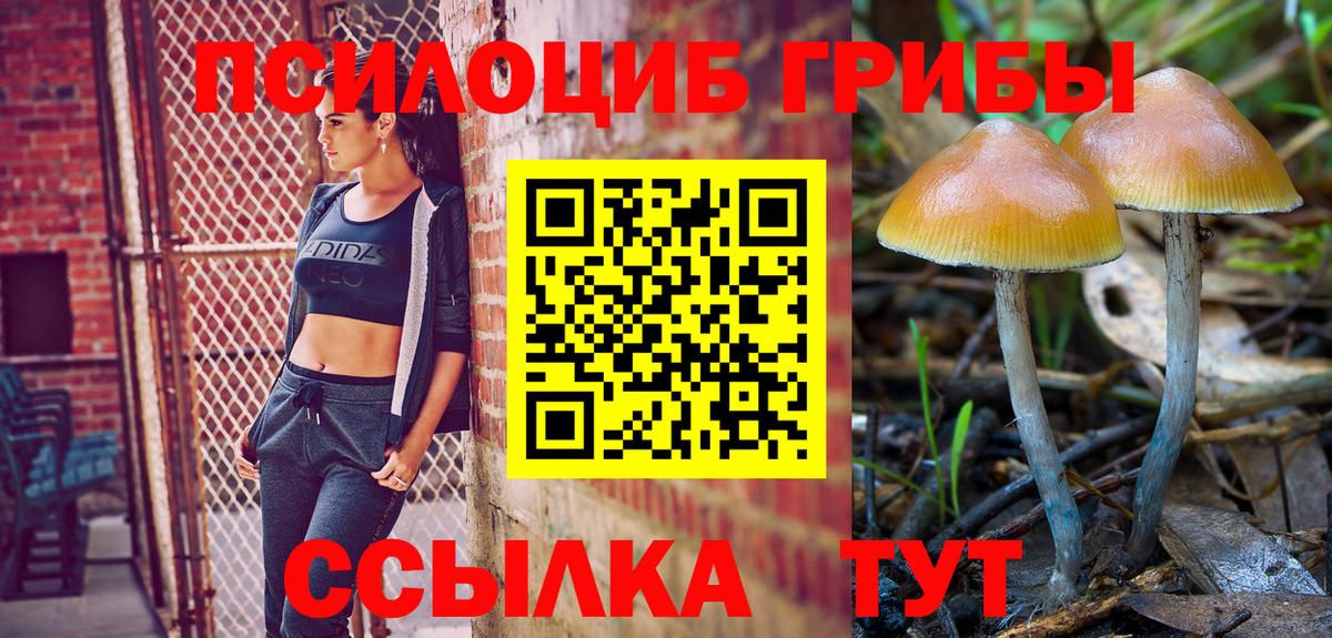 Галлюциногенные грибы Psilocybe  Галлюциногенные грибы Cubensis  Ковров  Вход с VPN 